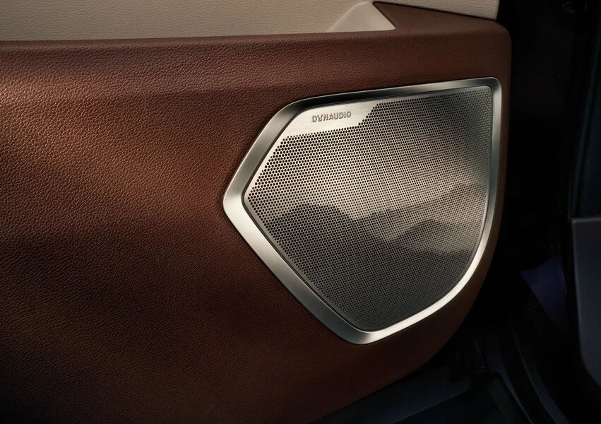 Speaker & trim detail