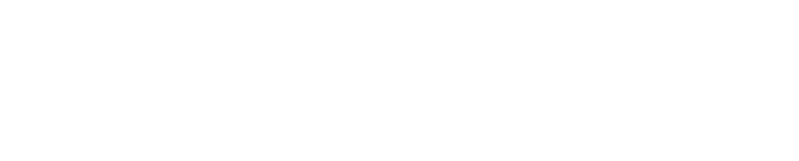 MAX888 MOTORS